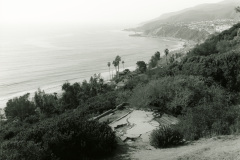 Four Ecologies