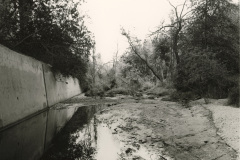 Arroyo-Seco-10-2016