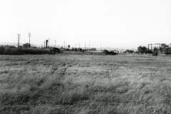 Ballona-Wetlands-13-2018