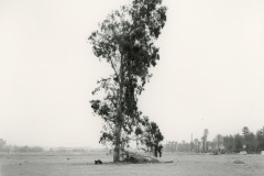 Fontana-20-2021