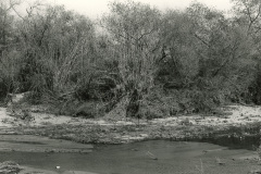 Rio-Hondo-3-2015