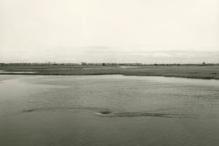 Seal-Beach-Refuge-1-2018