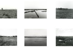 Wetlands-group.tif-copy