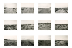 New-Grade-Grid-copy